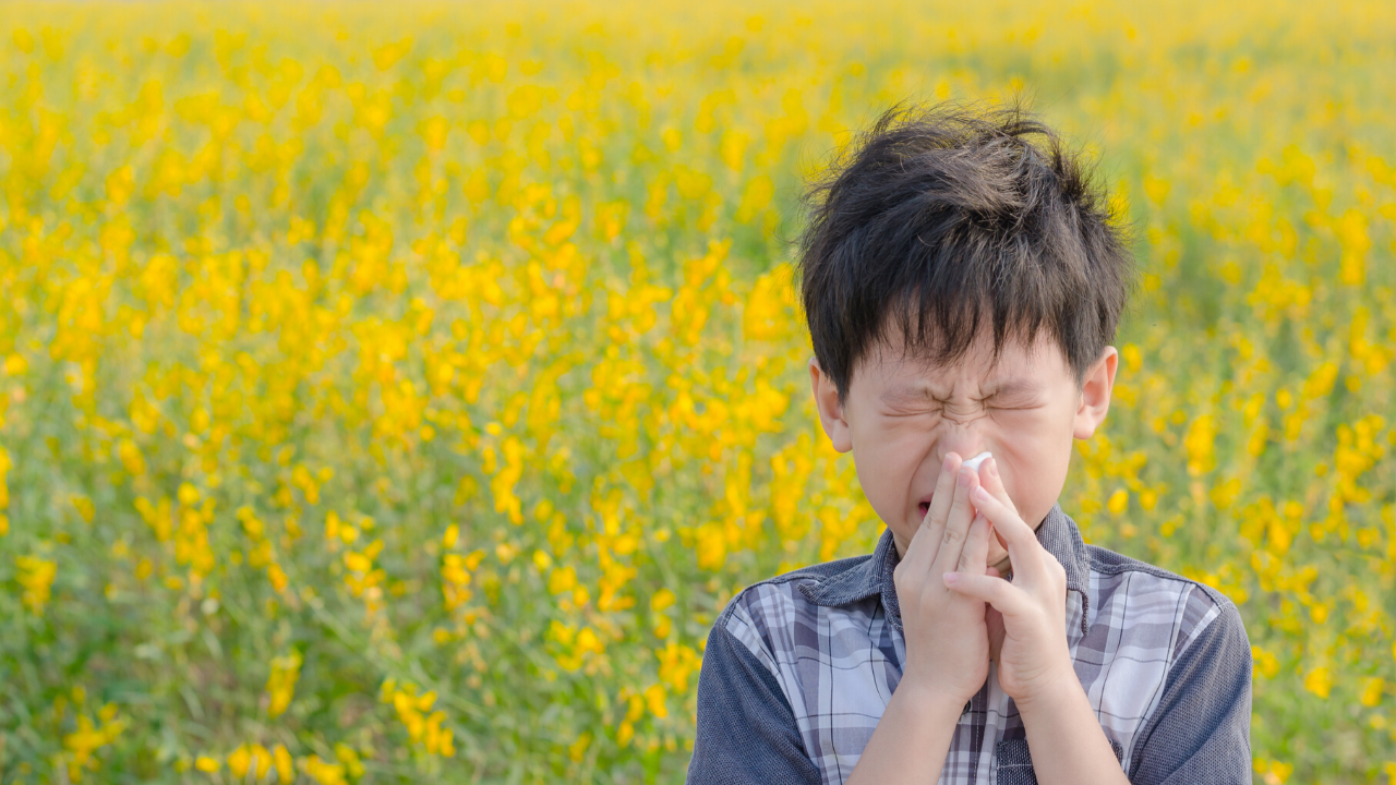 アレルギー性鼻炎の治療について